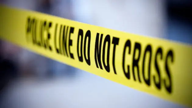 untitled20design20285429662049