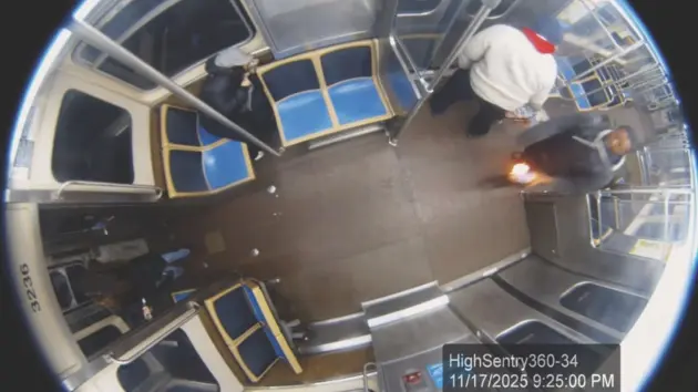 news_chicagoltrain_111925457137