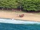 coastguard_hawaiihelicoptercrash_032726987127