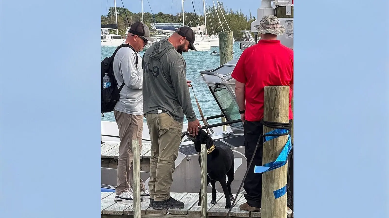 abc20news_cadaver20dogs20in20bahamas_04162675344
