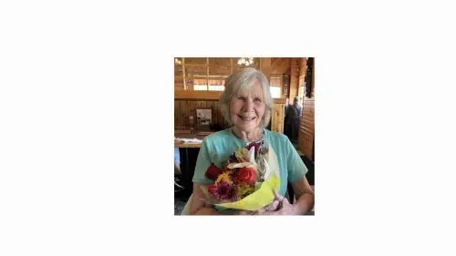 strefling-500x281159414-1