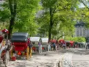 gettyrf_centralparkcarriagerides_061626114615