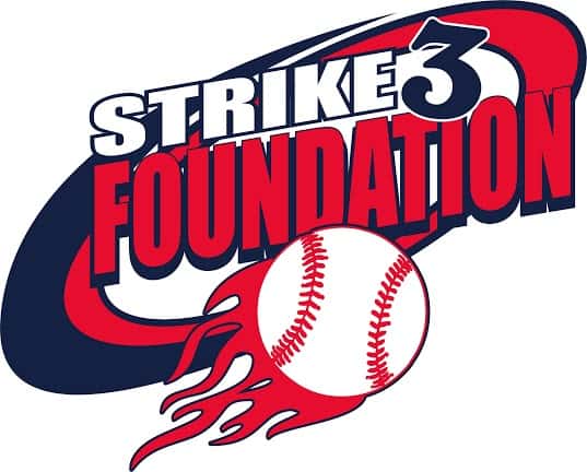 Image result for strike 3 foundation logo