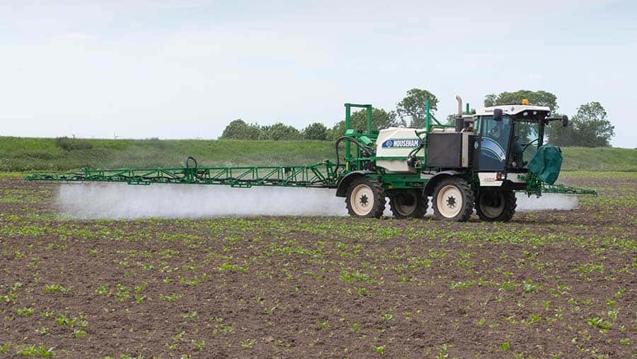 EPA Approves Fungicide for Sugarbeets KQLXAM