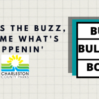 buzz-bulletin-board-homepage-banner
