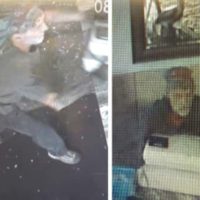 mvill-suspect-pelican-jpg-2