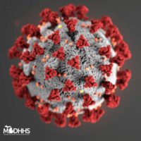 what_is_coronavirus_683667_7-png-35