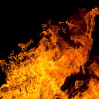 109521767-thb_-jpg-14