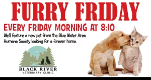 furry-fridays-3