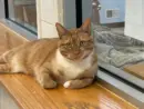 grumpy-ff-7-11-25