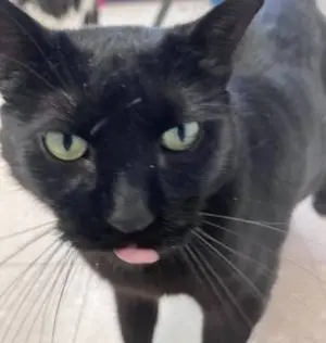 1270_716_7aw0vggz203084