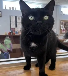 1255_714_7b61ffvsh01644