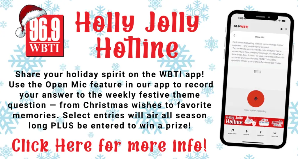 hollyjollyhotline_flipper2