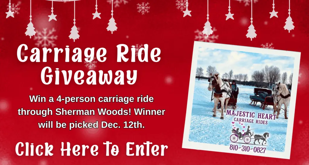 carriageridegiveaway_flipper2025