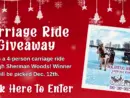 carriageridegiveaway_flipper2025