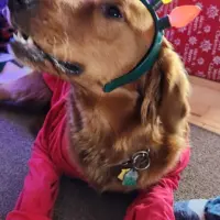 arnie-sandra-jackson