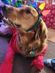 arnie-sandra-jackson