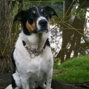 buddy-jennifer-martin