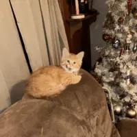 chuy-danielle-martinez