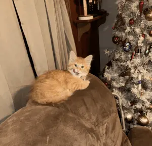 chuy-danielle-martinez