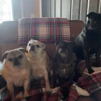 max-milo-mia-mando-liana-murawski