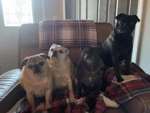 max-milo-mia-mando-liana-murawski