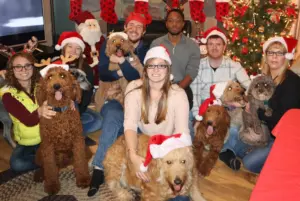 the-doodle-pack-kristie-farkas