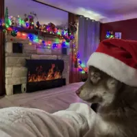 tobias-brittany-cornett