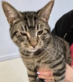 1307_762_7dk03tiom03088