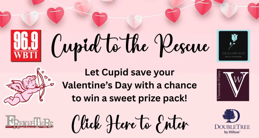 wbti_cupidtotherescue_flipper