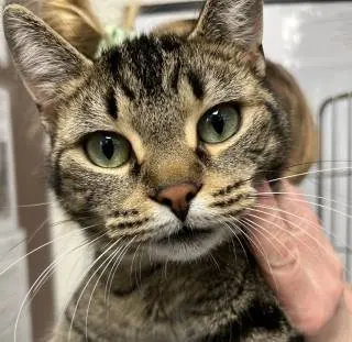 1382_776_7e70ly6xp02504