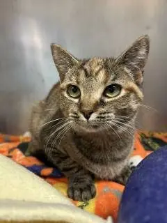 1114_616_7ex03ukjk02628