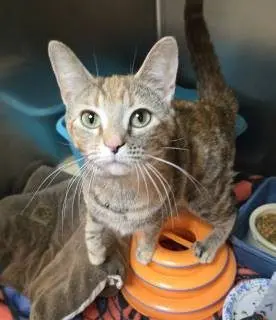 1385_798_7fe0r1cor03128