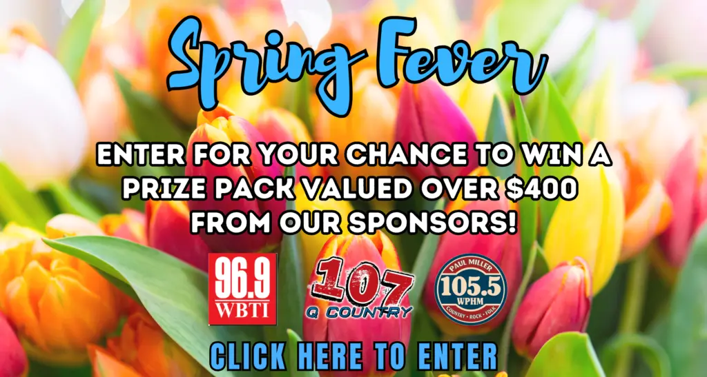 springfever2026_flipper2