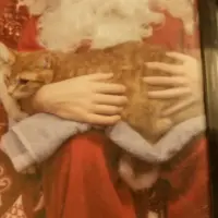 img_20231217_212622-2