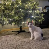 pxl_20251129_010458029-mp