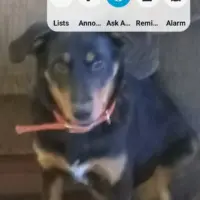 screenshot_20251206_223640_one-ui-home