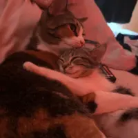 inbound6499303787963719794