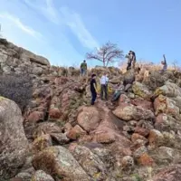 2602231258_blank721531