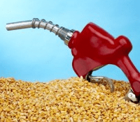 ethanol-corn-fuel-pump