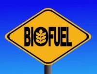 biofuel-2