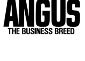 angus-association