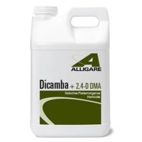 dicamba