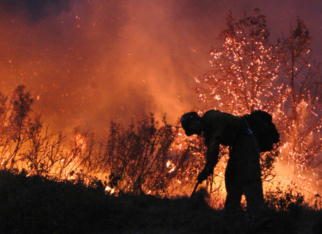 Biden Administration Outlines Strategic Priorities for Wildfires - Vimarsana News
