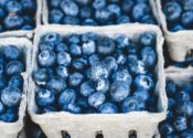 blueberries-unsplash