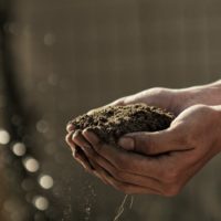 soil-unsplash
