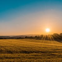 farmland-3-unsplash