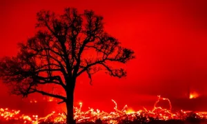 Shot in a remote area of Oklahoma in 2017 in the middle of wildfire