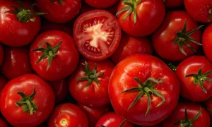 Fresh tomatoes - Top view