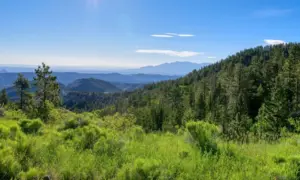 Larb Hollow Overlook along Utah Scenic Byway 12 near Torrey^ Utah